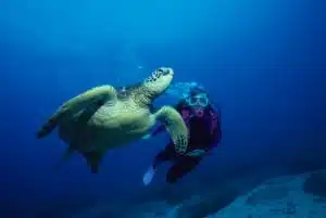 SCUBA and compressed air testing