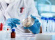 Mold Testing Guide: Methods and When to Test