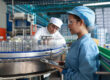 indoor air quality testing service